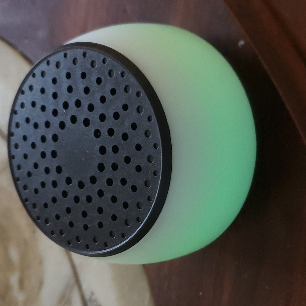 Speaker